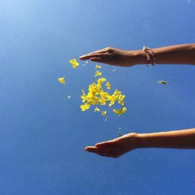 一分三快appapp下载